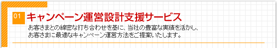 キャンペーン運営設計支援サービス
